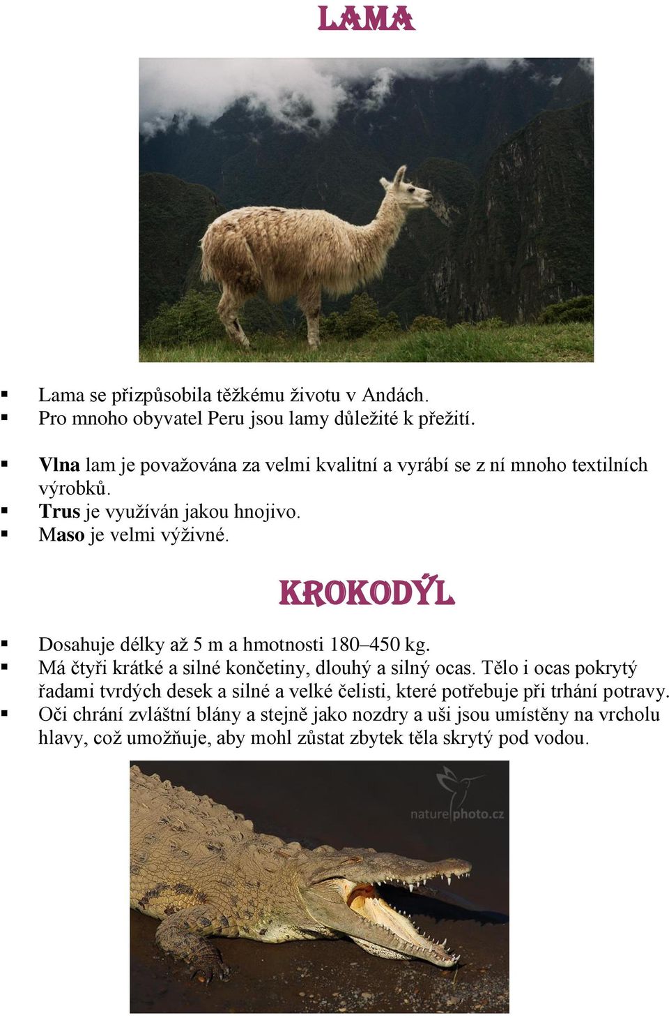 KROKODÝL Dosahuje délky až 5 m a hmotnosti 180 450 kg. Má čtyři krátké a silné končetiny, dlouhý a silný ocas.