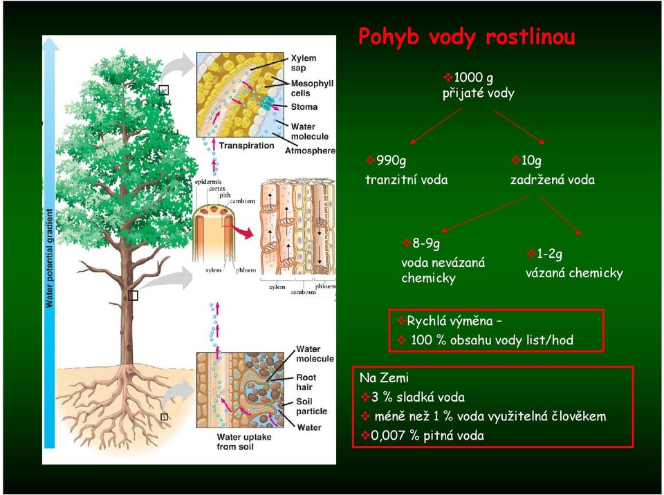 chemicky Rychlá výměna 100 % obsahu vody list/hod Na Zemi 3 %