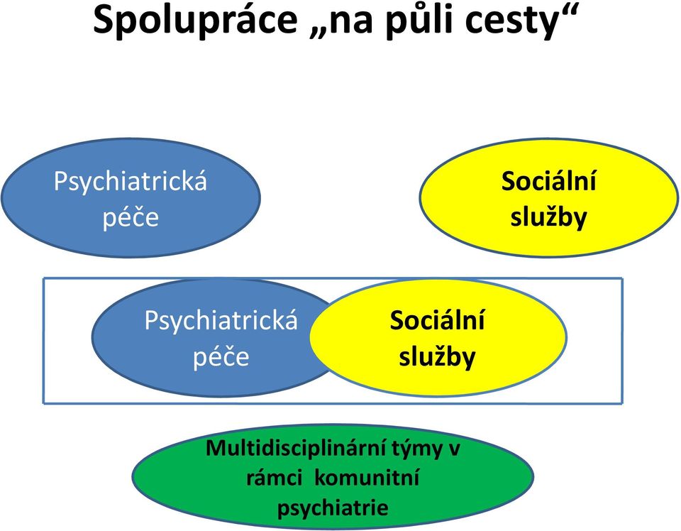 Multidisciplinární týmy v rámci