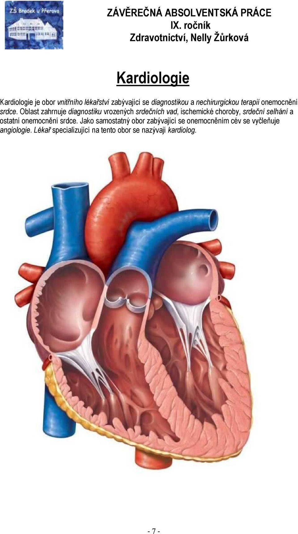 Oblast zahrnuje diagnostiku vrozených srdečních vad, ischemické choroby, srdeční selhání a