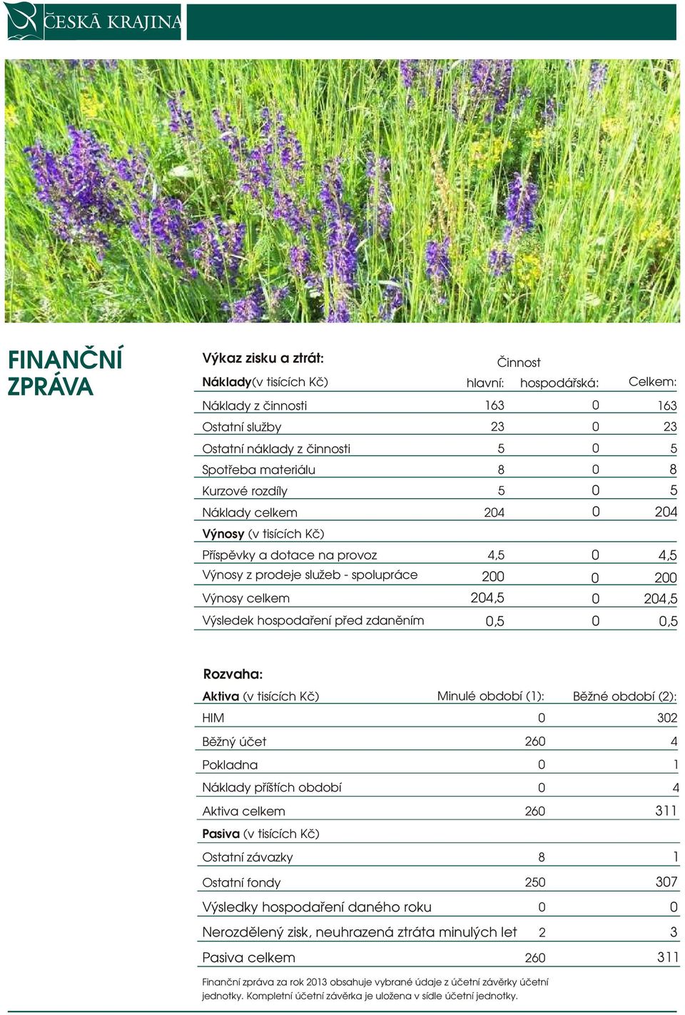 24,5,5 Rozvaha: Aktiva (v tisících Kč) Minulé období (1): HIM Běžný účet 26 Pokladna Náklady příštích období Aktiva celkem 26 Pasiva (v tisících Kč) Ostatní závazky 8 Ostatní fondy 25 Výsledky