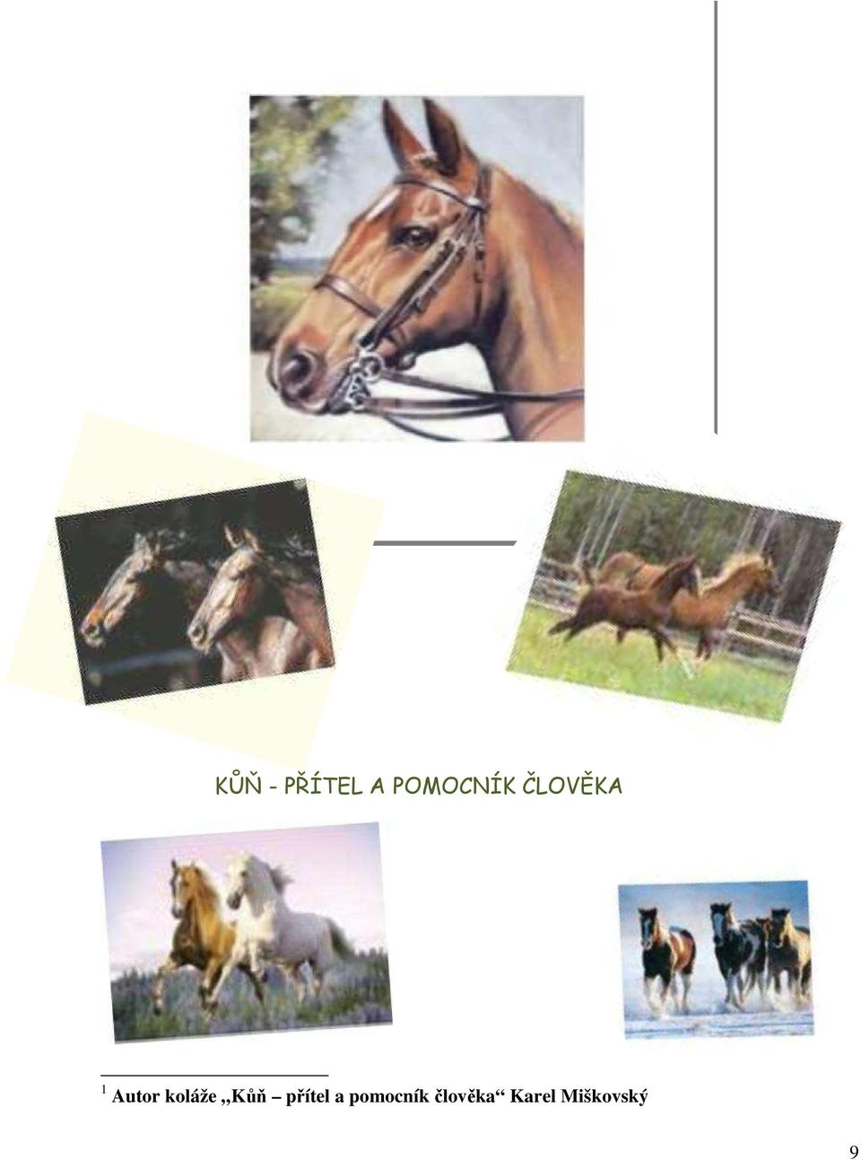 Autor koláže Kůň přítel
