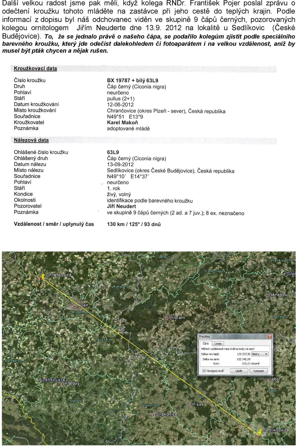 Podle informací z dopisu byl náš odchovanec viděn ve skupině 9 čápů černých, pozorovaných kolegou ornitologem Jiřím Neuderte dne 13.9. 2012 na lokalitě u Sedlíkovic (České Budějovice).