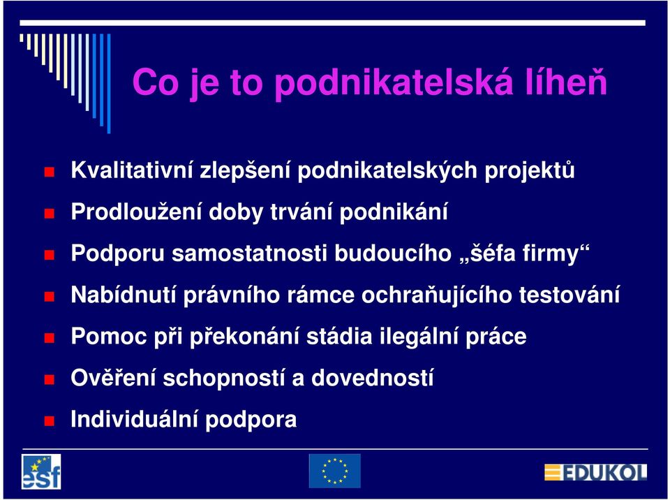 budoucího šéfa firmy Nabídnutí právního rámce ochraňujícího testování