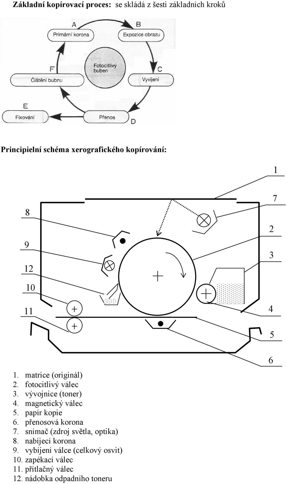 magnetický válec 5. papír kopie 6. přenosová korona 7. snímač (zdroj světla, optika) 8.