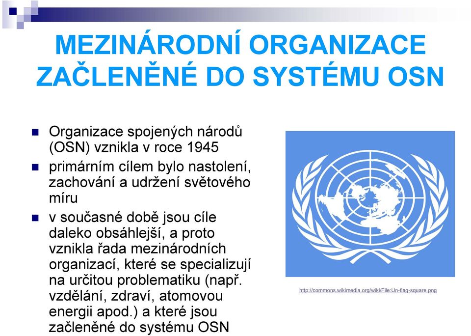 vznikla řada mezinárodních organizací, které se specializují na určitou problematiku (např.