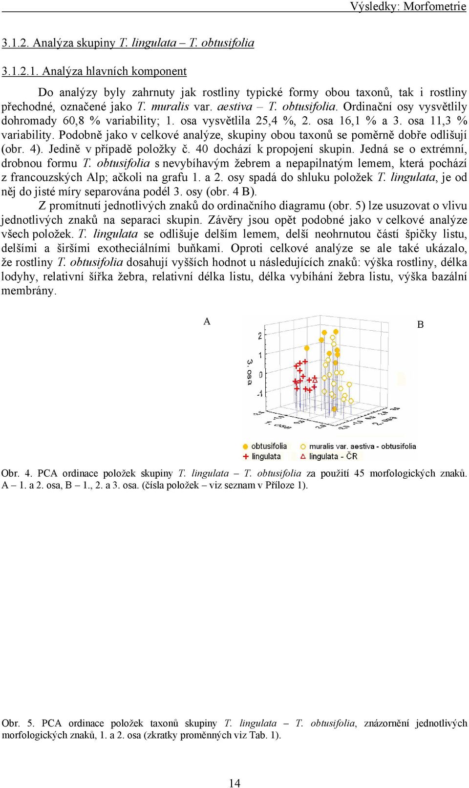 Podobně jako v celkové analýze, skupiny obou taxonů se poměrně dobře odlišují (obr. 4). Jedině v případě položky č. 40 dochází k propojení skupin. Jedná se o extrémní, drobnou formu T.