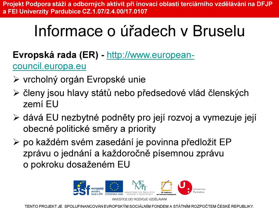 dává EU nezbytné podněty pro její rozvoj a vymezuje její obecné politické směry a priority po