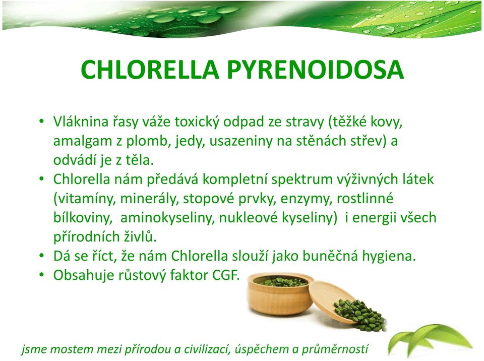 Chlorella nám předává kompletní spektrum výživných látek (vitamíny, minerály, stopové prvky, enzymy,