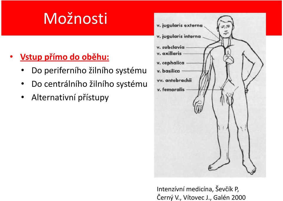 žilního systému Alternativní přístupy