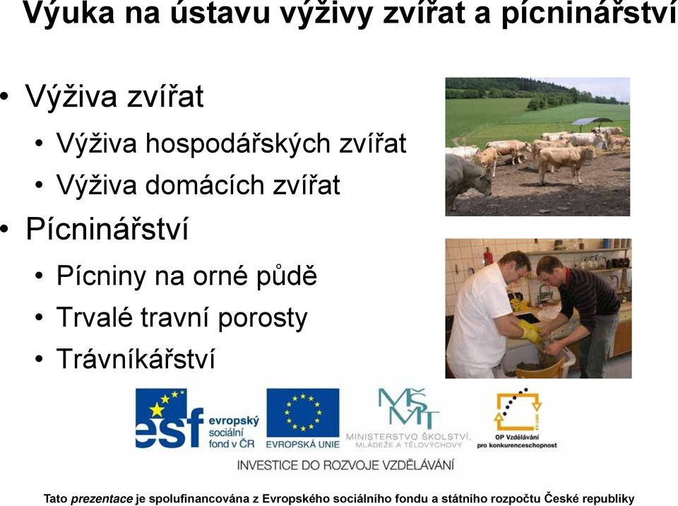 Výživa domácích zvířat Pícninářství Pícniny