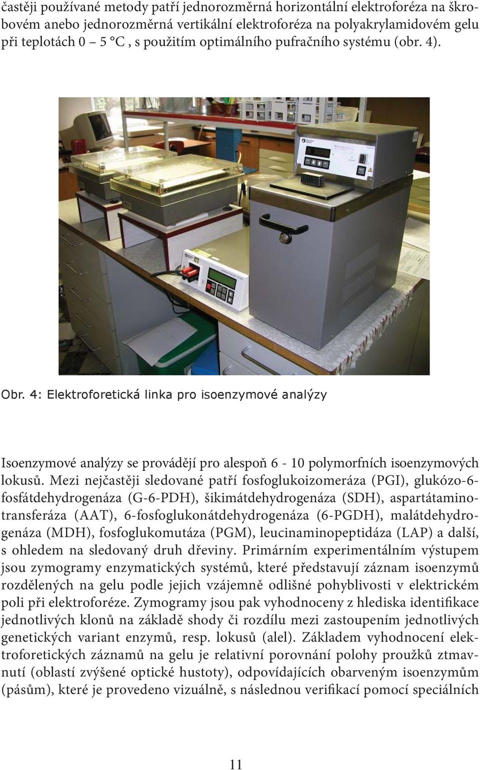 Mezi nejčastěji sledované patří fosfoglukoizomeráza (PGI), glukózo-6- fosfátdehydrogenáza (G-6-PDH), šikimátdehydrogenáza (SDH), aspartátaminotransferáza (AAT), 6-fosfoglukonátdehydrogenáza (6-PGDH),