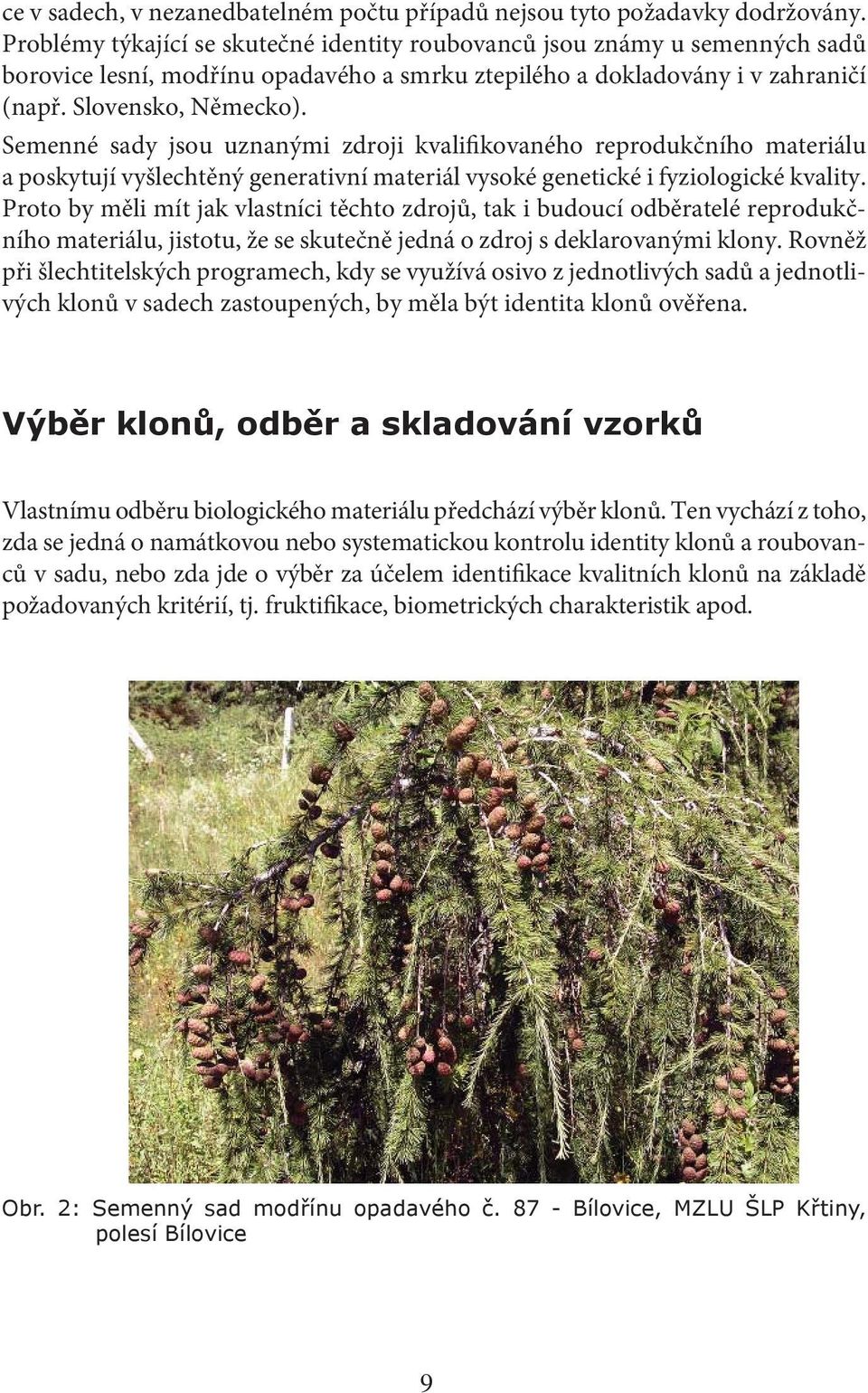 Semenné sady jsou uznanými zdroji kvalifikovaného reprodukčního materiálu a poskytují vyšlechtěný generativní materiál vysoké genetické i fyziologické kvality.