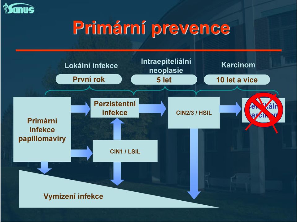 více Primární infekce papillomaviry Perzistentní