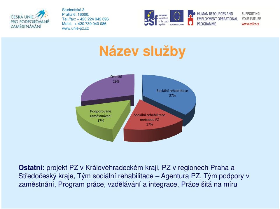 kraji, PZ v regionech Praha a Středočeský kraje, Tým sociální rehabilitace