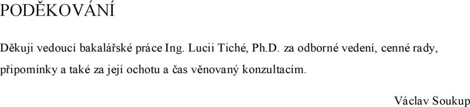za odborné vedení, cenné rady, připomínky