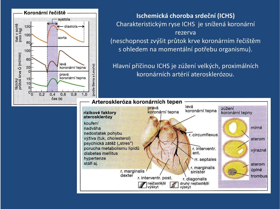 řečištěm s ohledem na momentální potřebu organismu).