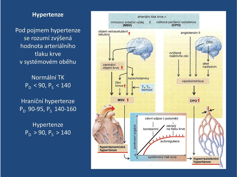 Normální TK P D < 90, P S < 140 Hraniční hypertenze