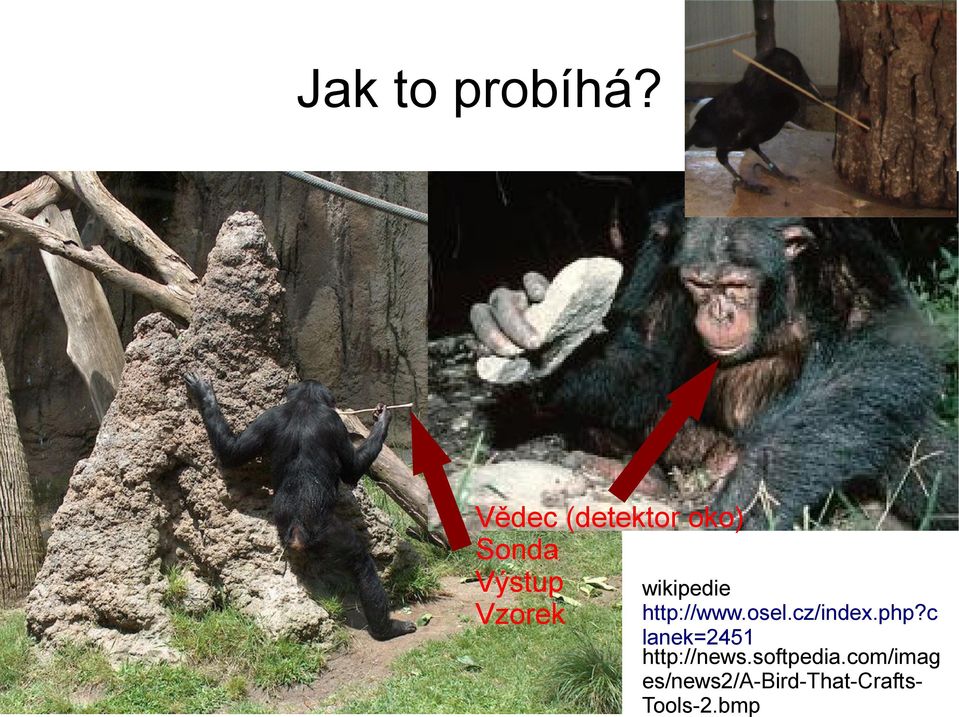 http://www.osel.cz/index.php?
