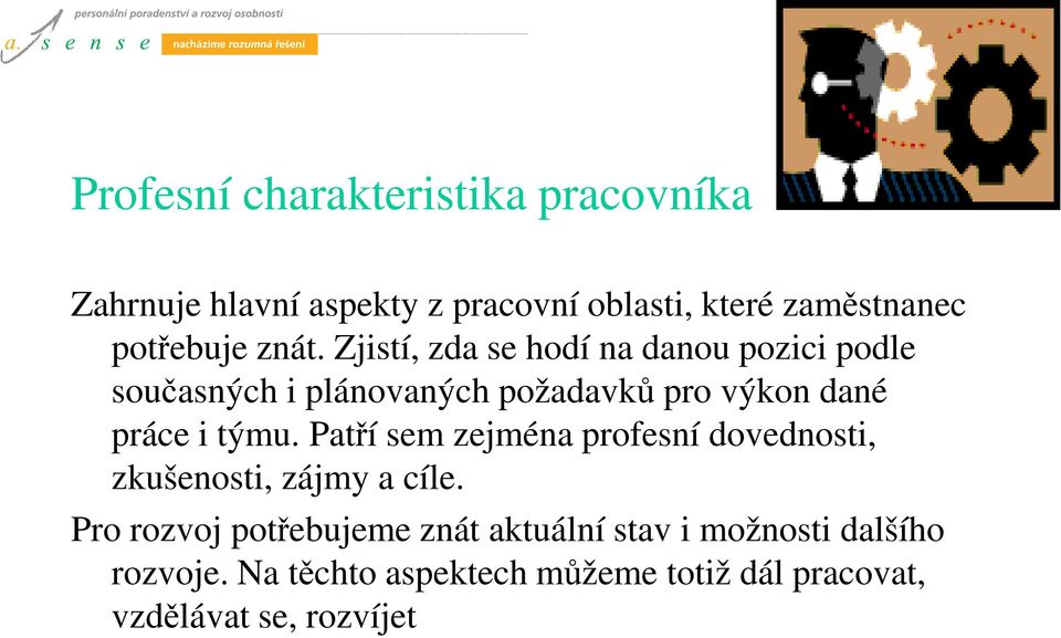 Zjistí, zda se hodí na danou pozici podle současných i plánovaných požadavků pro výkon dané práce i týmu.