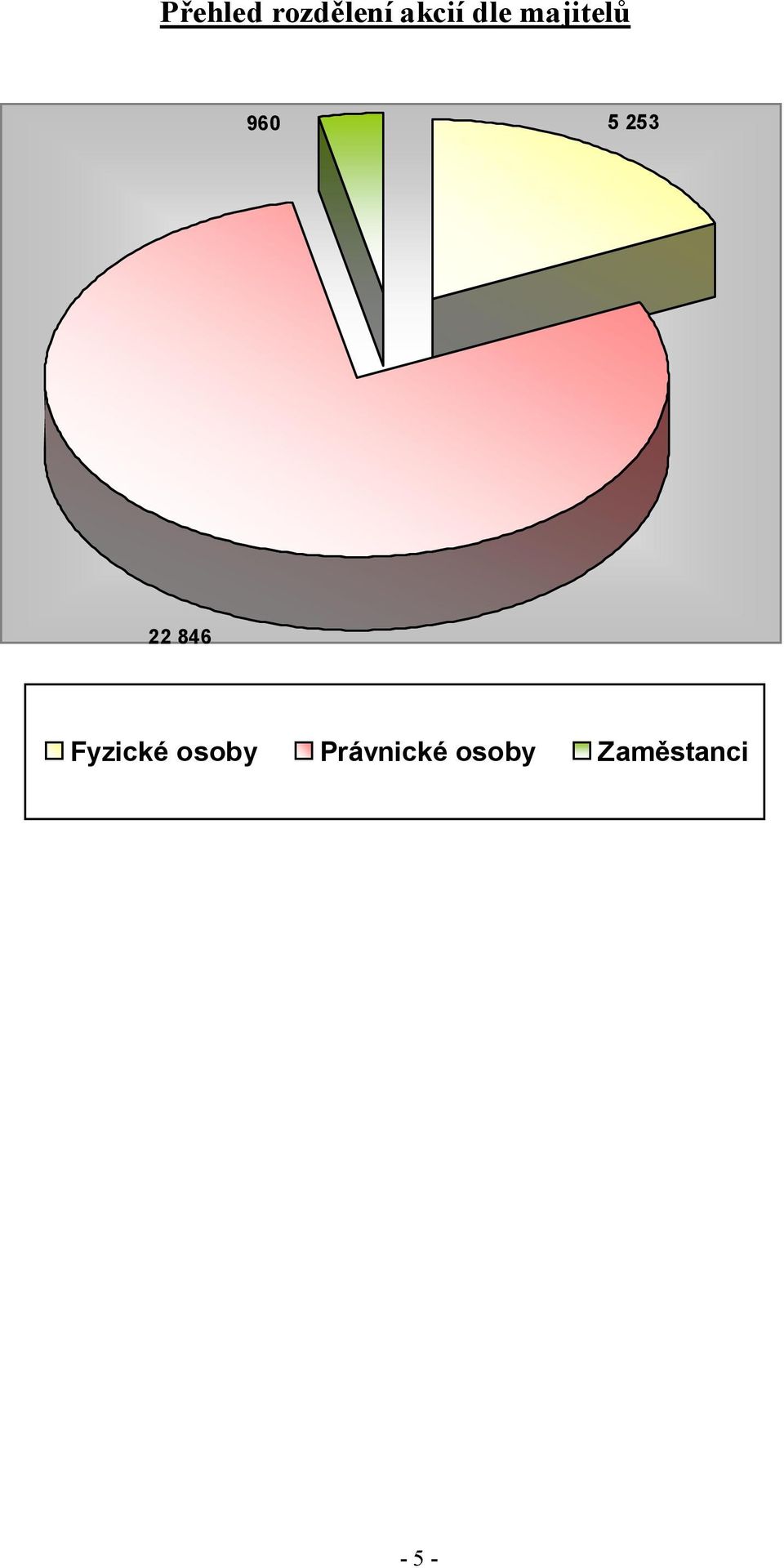 22 846 Fyzické osoby