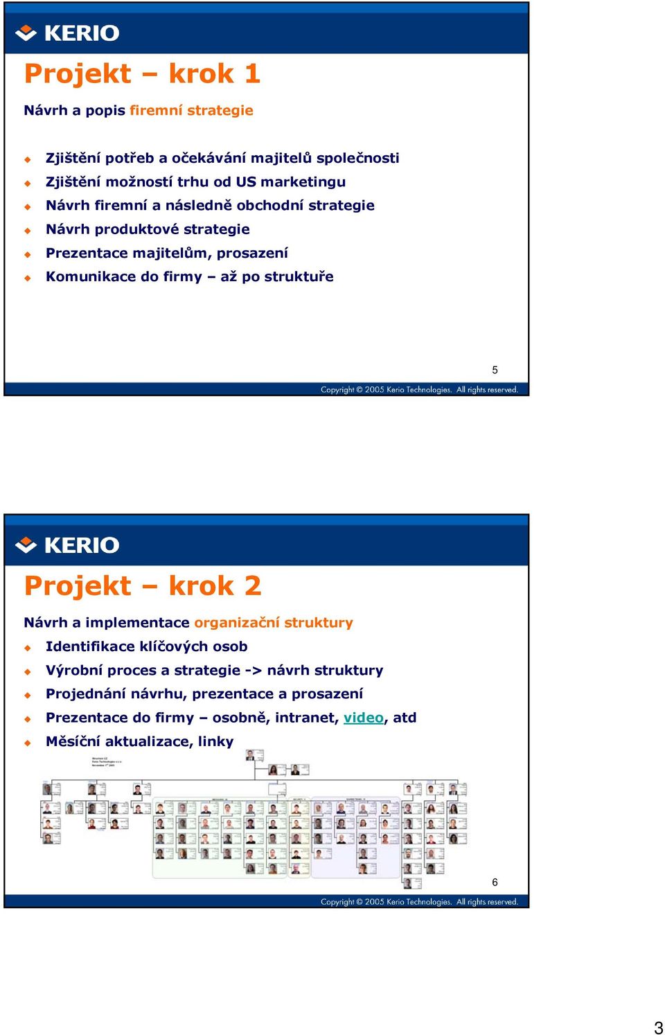 firmy až po struktuře 5 Projekt krok 2 Návrh a implementace organizační struktury Identifikace klíčových osob Výrobní proces a