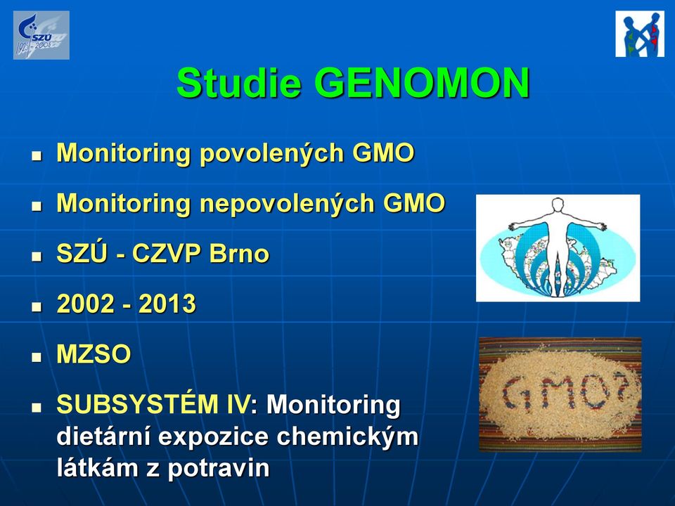 Brno 2002-2013 MZSO SUBSYSTÉM IV: