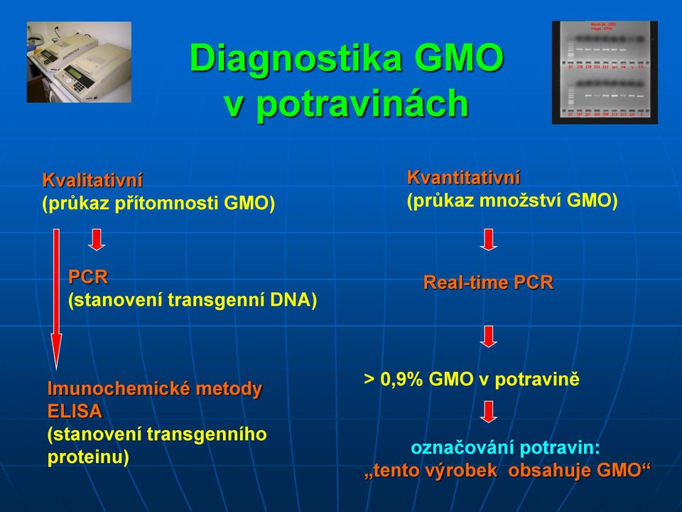 Real-time PCR Imunochemické metody ELISA (stanovení transgenního