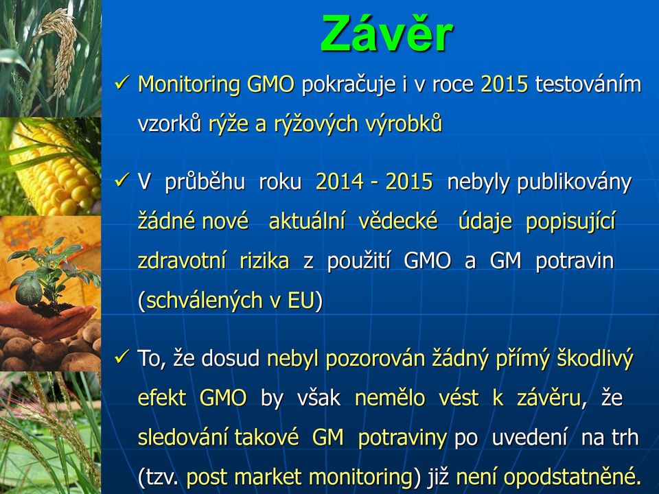 GM potravin (schválených v EU) To, že dosud nebyl pozorován žádný přímý škodlivý efekt GMO by však nemělo