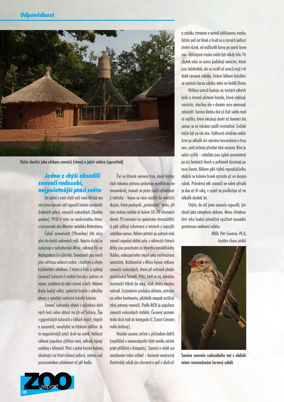 Čeleď snovačovití (Ploceidae) čítá něco přes sto druhů sedmnácti rodů. Nejvíce druhů se vyskytuje v subsaharské Africe, některé žijí na Madagaskaru či v jižní Asii.
