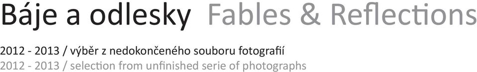 souboru fotografií 2012-2013 /