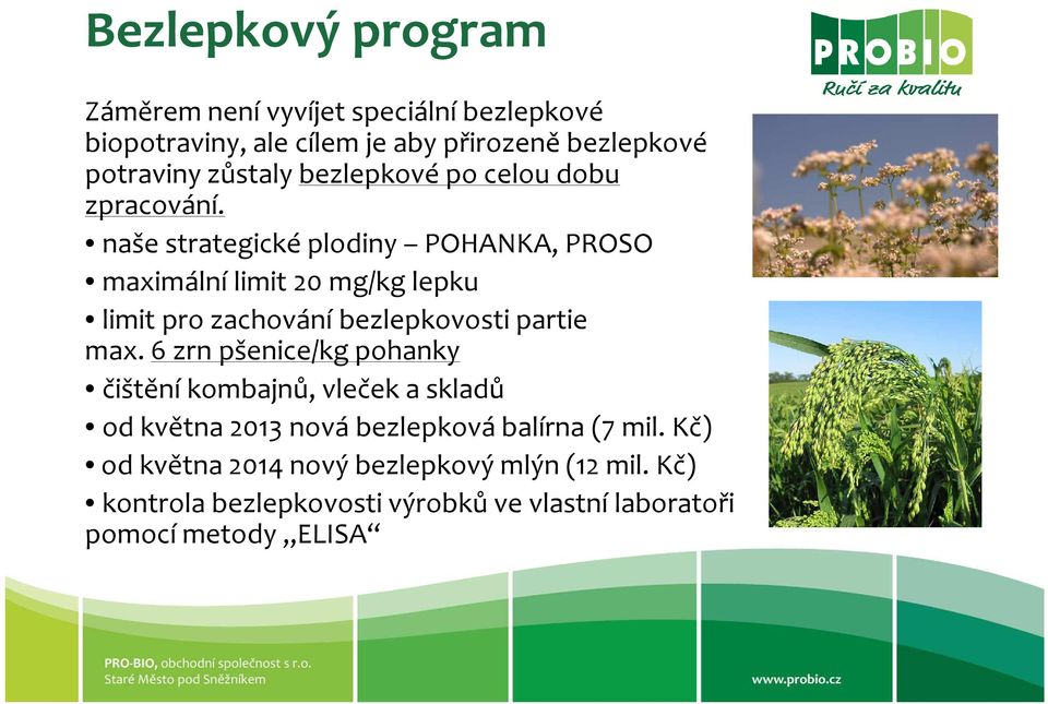 naše strategické plodiny POHANKA, PROSO maximální limit 20 mg/kg lepku limit pro zachování bezlepkovosti partie max.