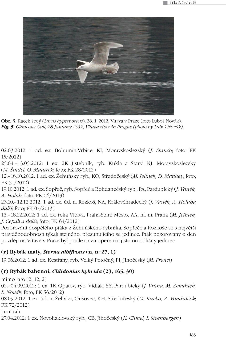 2012: 1 ad. ex. Žehuňský ryb., KO, Středočeský (M. Jelínek, D. Matthey; foto; FK 51/2012) 19.10.2012: 1 ad. ex. Sopřeč, ryb. Sopřeč a Bohdanečský ryb., PA, Pardubický (J. Vaněk, A.
