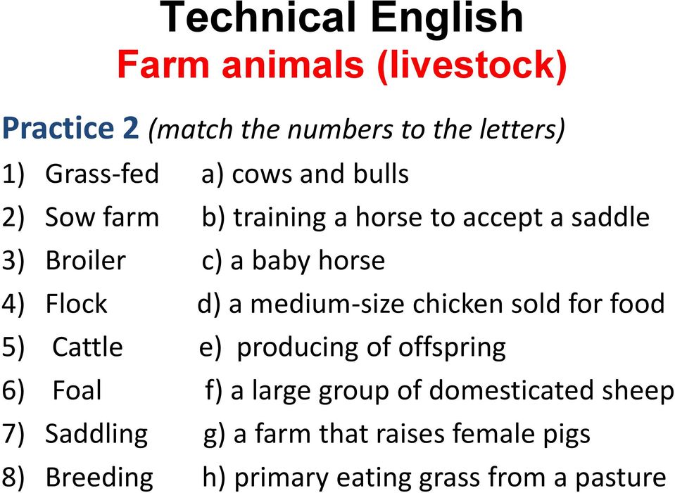 chicken sold for food 5) Cattle e) producing of offspring 6) Foal f) a large group of