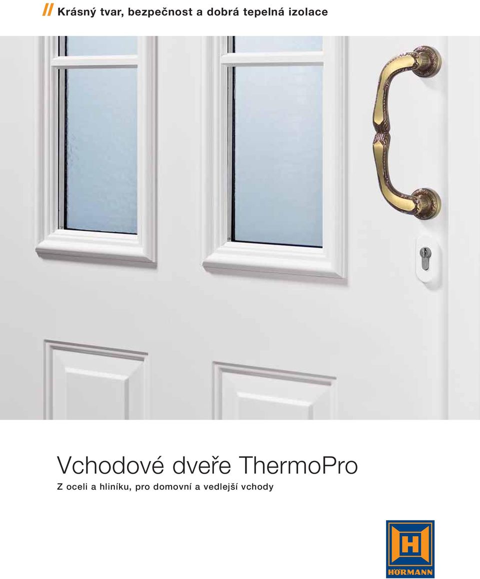 dveře ThermoPro Z oceli a