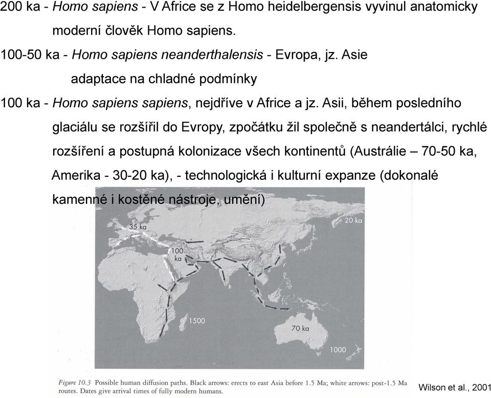 Asie adaptace na chladné podmínky 100 ka - Homo sapiens sapiens, nejdříve v Africe a jz.