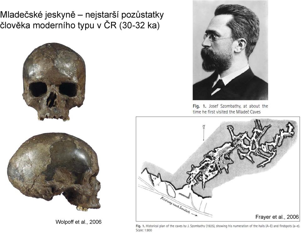 typu v ČR (30-32 ka) Wolpoff