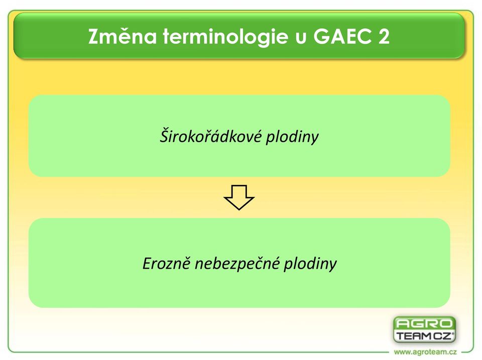Širokořádkové