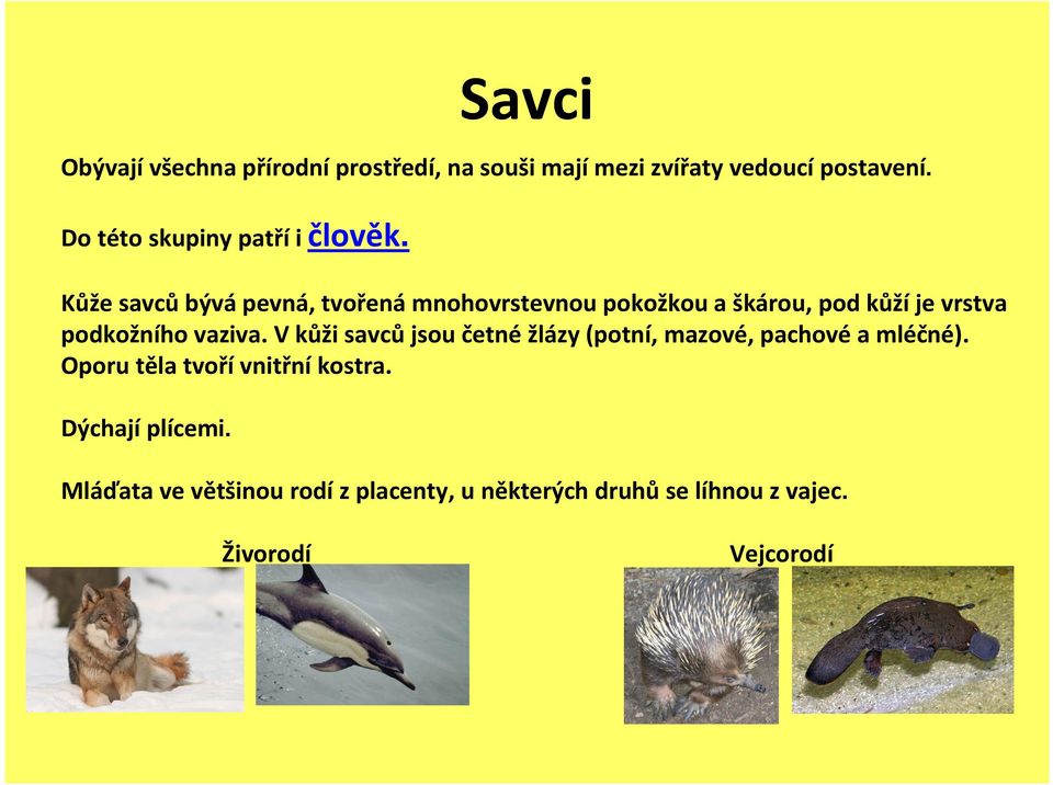 Kůže savcůbývápevná, tvořenámnohovrstevnou pokožkou a škárou, pod kůžíje vrstva podkožního vaziva.