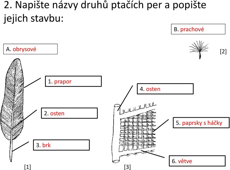 obrysové [2] 1. prapor 4. osten 2.