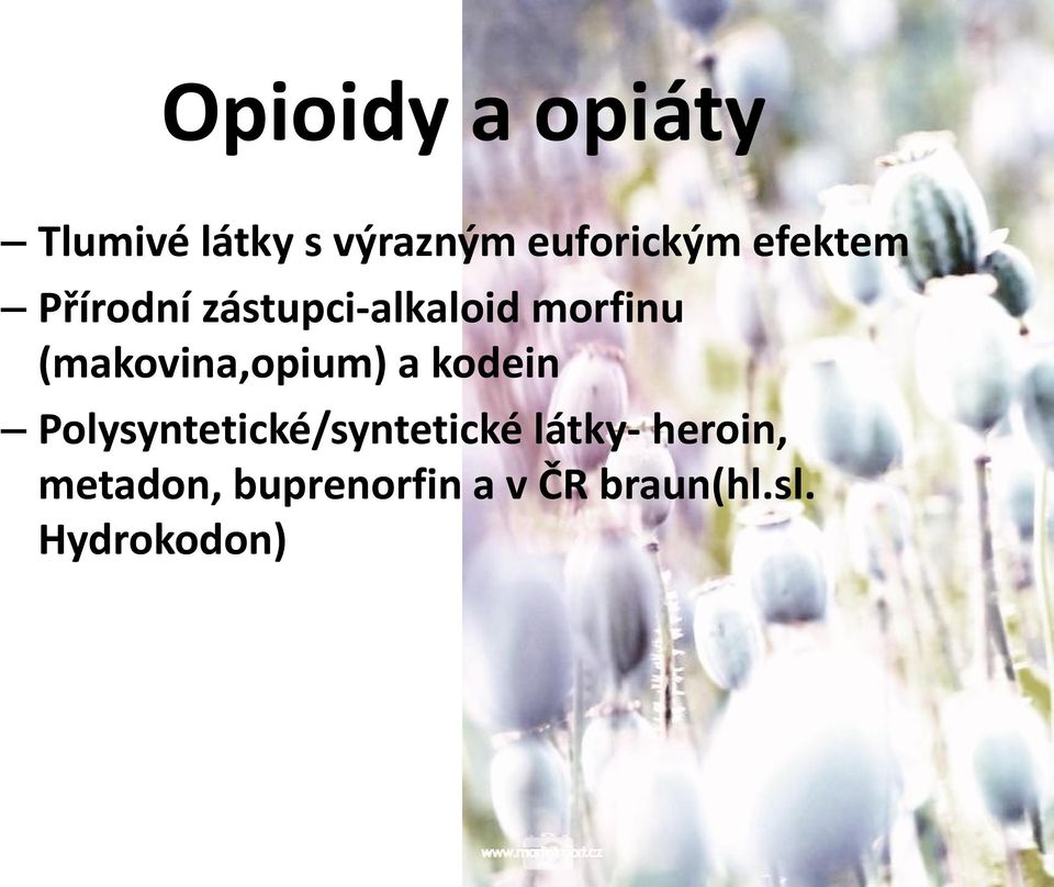 (makovina,opium) a kodein Polysyntetické/syntetické