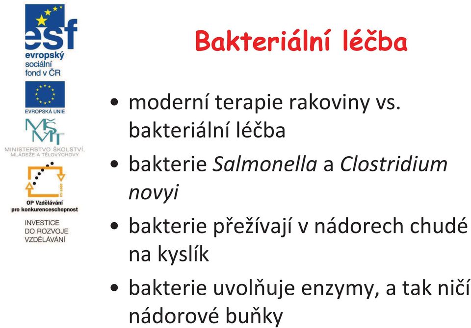 Clostridium novyi bakterie přežívají v nádorech