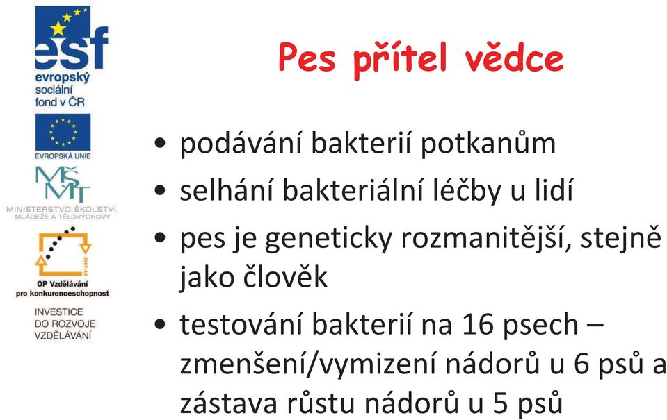 stejně jako člověk testování bakterií na 16 psech