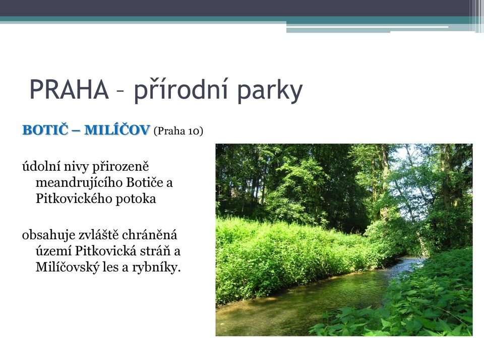 Pitkovického potoka obsahuje zvláště chráněná