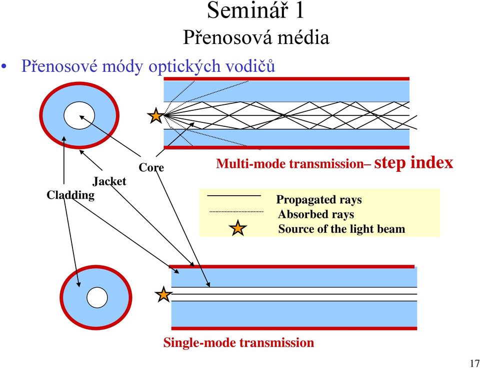 transmission step index Propagated rays