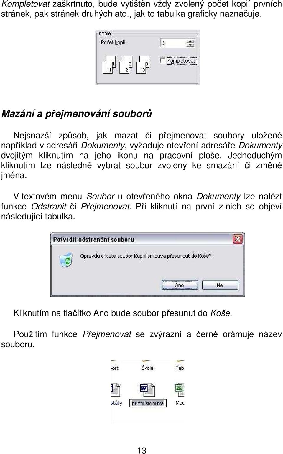 jeho ikonu na pracovní ploše. Jednoduchým kliknutím lze následně vybrat soubor zvolený ke smazání či změně jména.