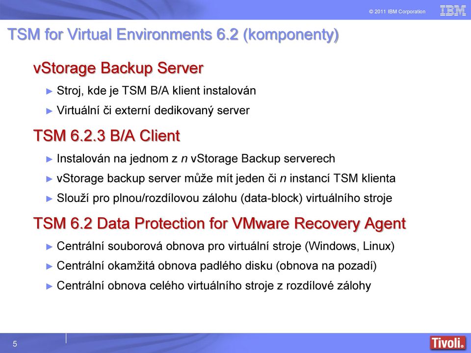 jednom z n vstorage Backup serverech vstorage backup server může mít jeden či n instancí TSM klienta Slouží pro plnou/rozdílovou zálohu