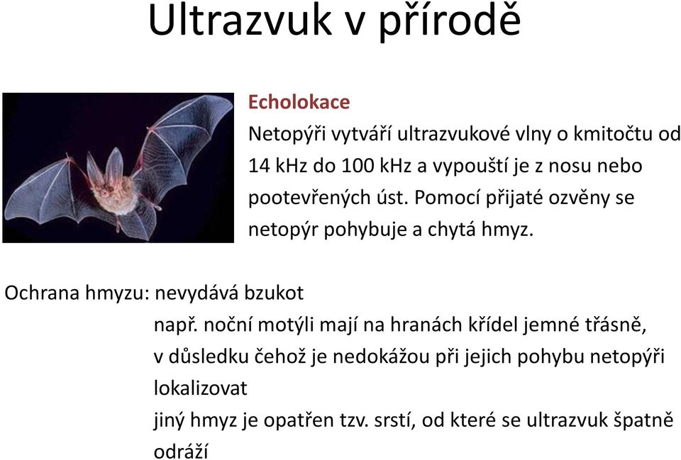 Ochrana hmyzu: nevydává bzukot např.