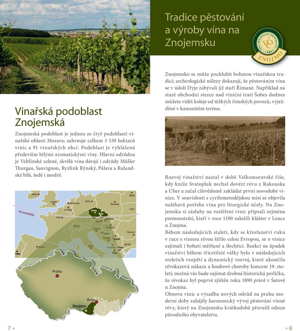 Hlavní odrůdou je Veltlínské zelené, skvělá vína dávají i odrůdy Müller Thurgau, Sauvignon, Ryzlink Rýnský, Pálava a Rulandské bílé, šedé i modré.