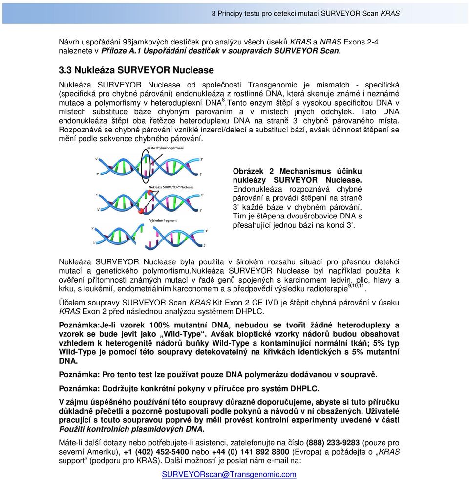 3 Nukleáza SURVEYOR Nuclease Nukleáza SURVEYOR Nuclease od společnosti Transgenomic je mismatch - specifická (specifická pro chybné párování) endonukleáza z rostlinné DNA, která skenuje známé i